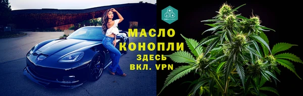 прущие грибы Волоколамск
