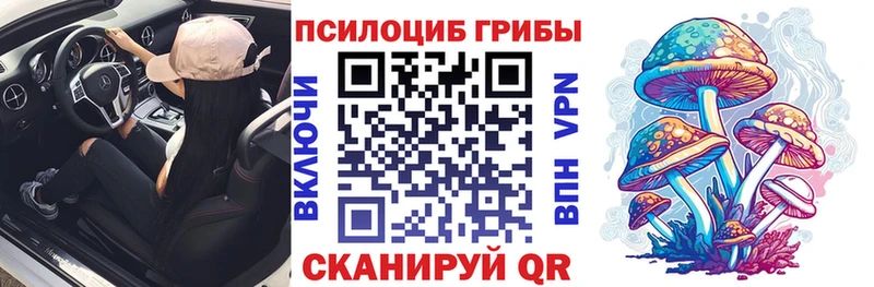 Галлюциногенные грибы Magic Shrooms  OMG ССЫЛКА  Зеленоградск 